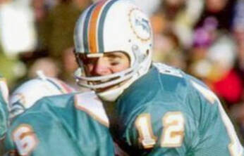 1971 dolphins