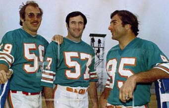 1972 dolphins roster